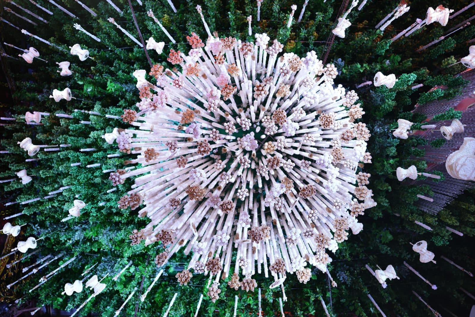 Radial floral canopy viewed from directly below