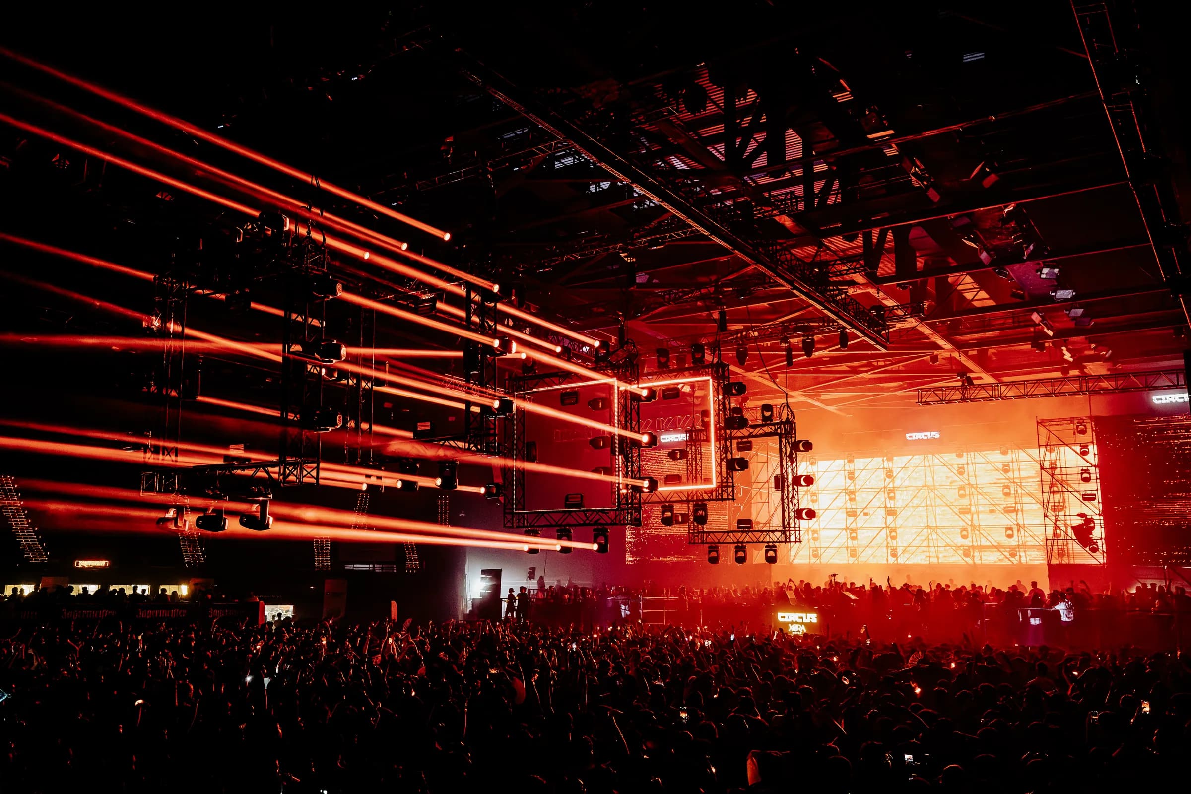 Circus Festival filling an arena with light and audience energy